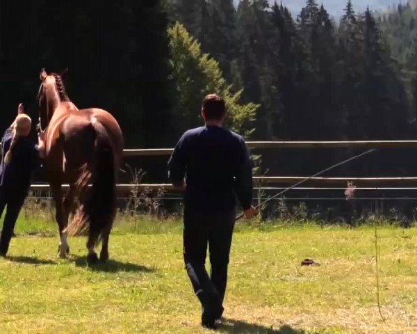 Video von Sweet Scarlett 2
