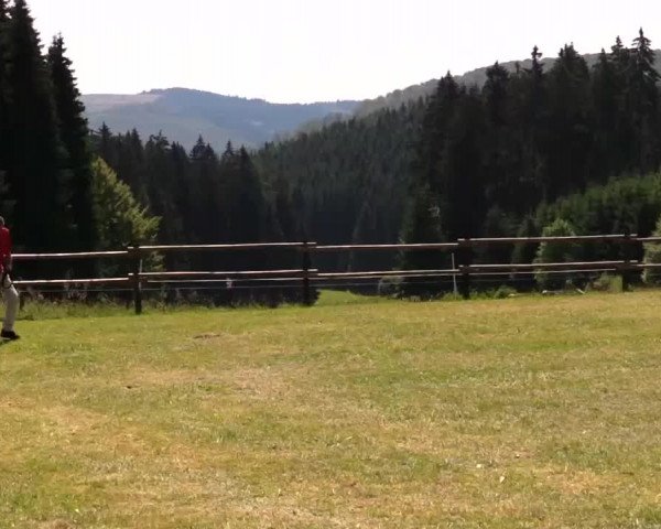 Video von Haakon aus Wittgenstein