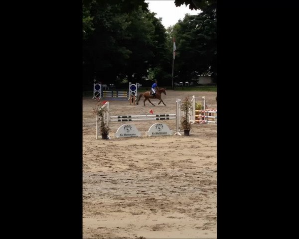 Video von Quarinto
