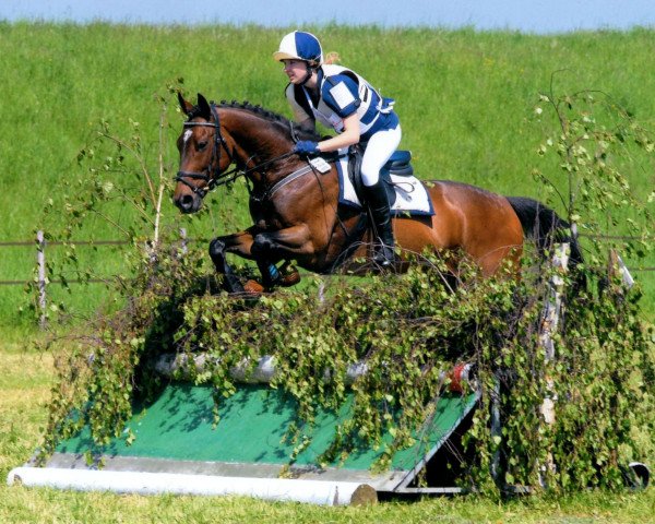 Geländepferd Santiago 197 (Polnisches Warmblut, 2003, von Professional xx) Geländepferd Santiago 197 (Polnisches Warmblut, 2003, von Professional xx)