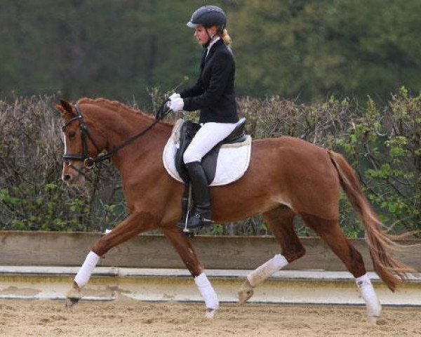 broodmare Contessa de Luxe (German Riding Pony, 2009, from Top Champy)