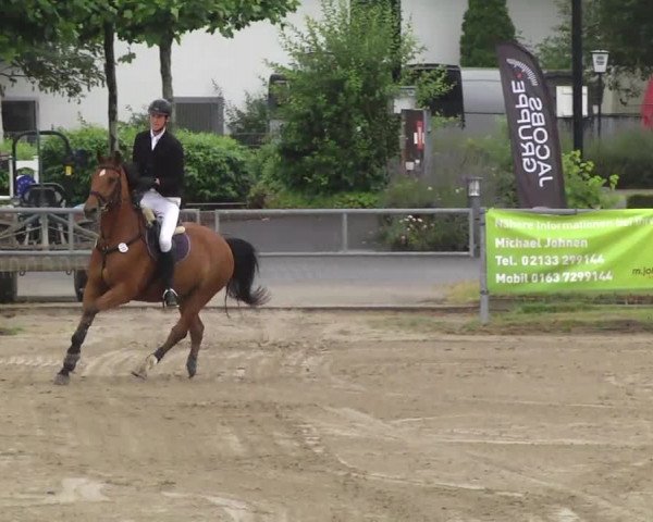 Rheinische Meisterschaften 2014
Langenfeld: Mannsch.-Springprfg.Kl.M* mit 2 Umläufen - Finale -
(Nr. 55) – 28.06.2014