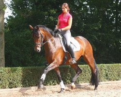 broodmare Rivery Royal (Rhinelander, 2009, from Rock Forever NRW)
