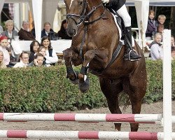 jumper Eliano R (Westphalian, 2002, from Ehrenwort)
