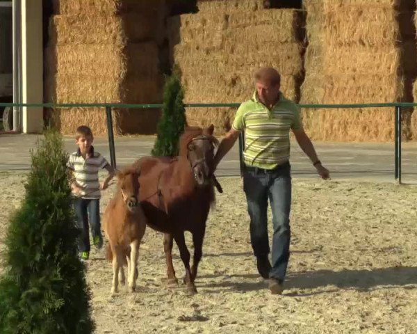 Video of Prinz von Kuhl
