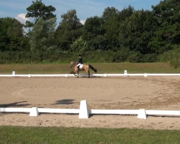 Video von Daddy Moon