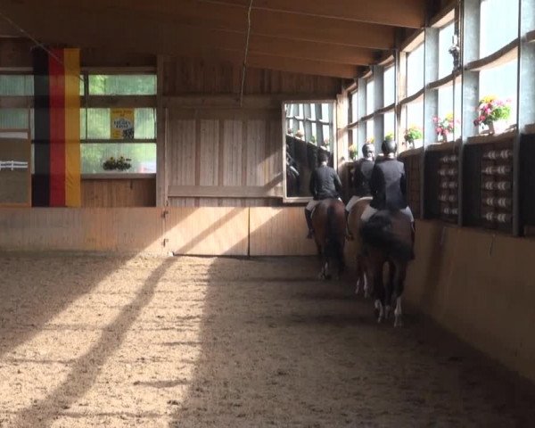 Video of Solist R, Quax 73