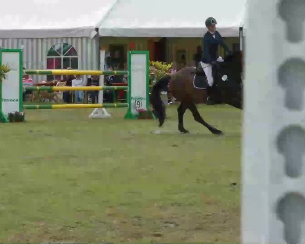 Video of Lugana