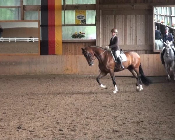 Video of Chalet's Erbe