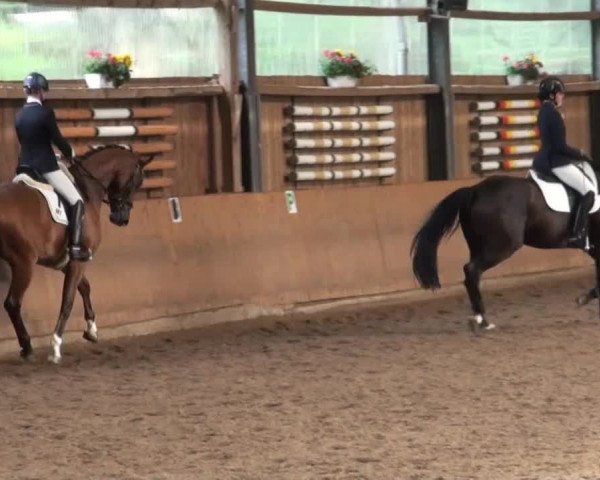 Video de Freddy Frinton 2