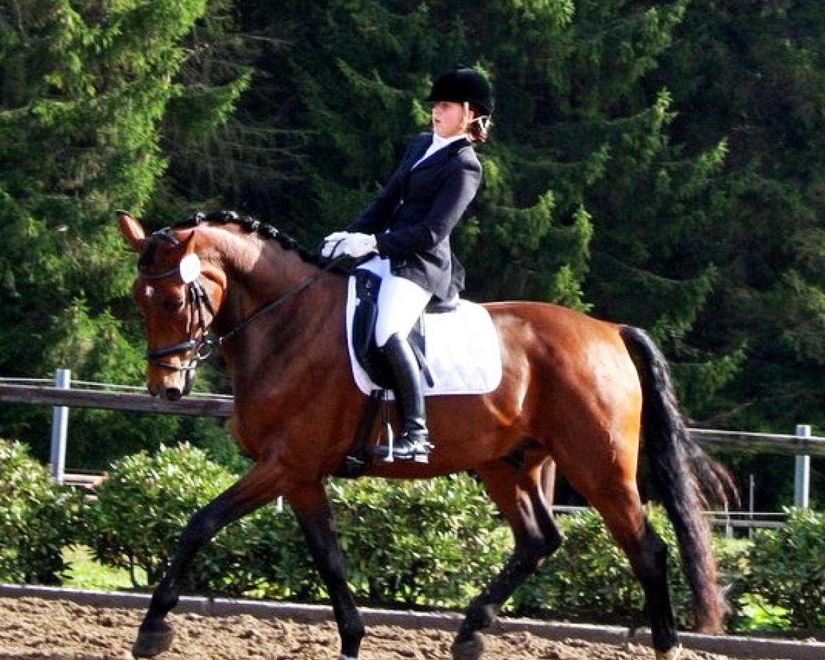Dressurpferd Fernet (Oldenburger, 2005, von Florencio I)