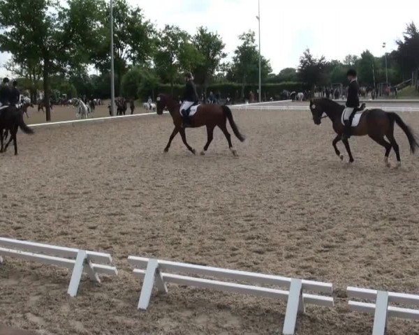 Video von Erik V, Ferrari, Donna Carina 7