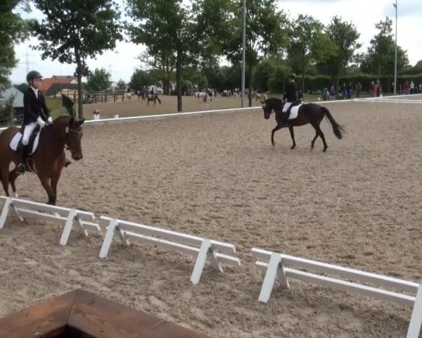 Video von Bentley 57, Torcello 3