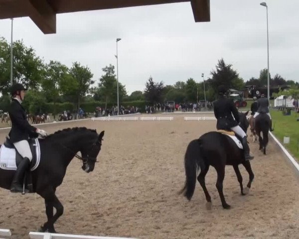 Vídeo de Designed for you, Night Fairy