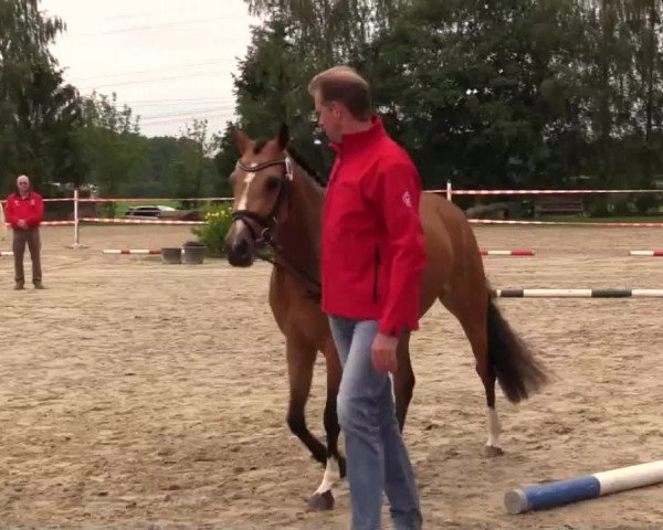 Video of Cassiopeia Sh