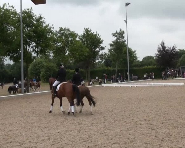 Video of Fs Lovely Little Lucy