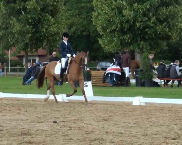 Video of Coole Socke WE
