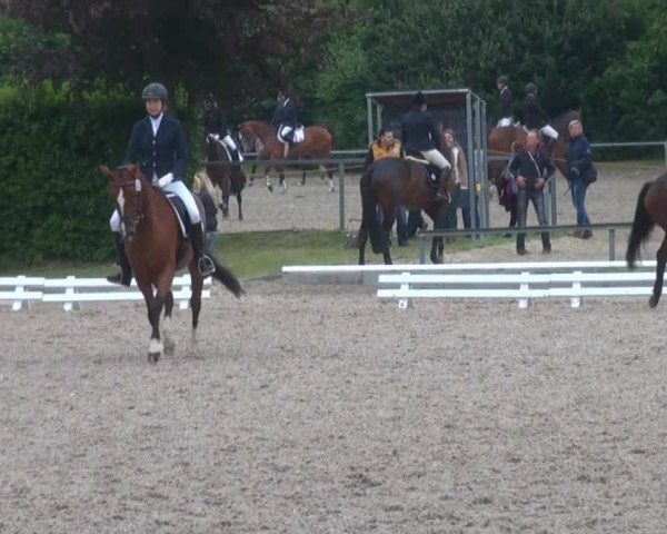 Video of Prinzess 426