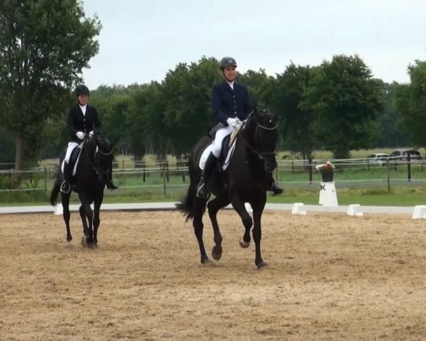 Video of Adele 94
