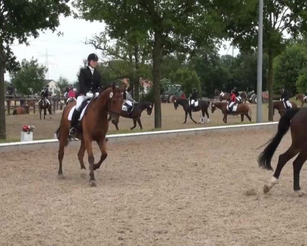 Video of Da bin ich 6, Celine 160, Fanfani's Finley