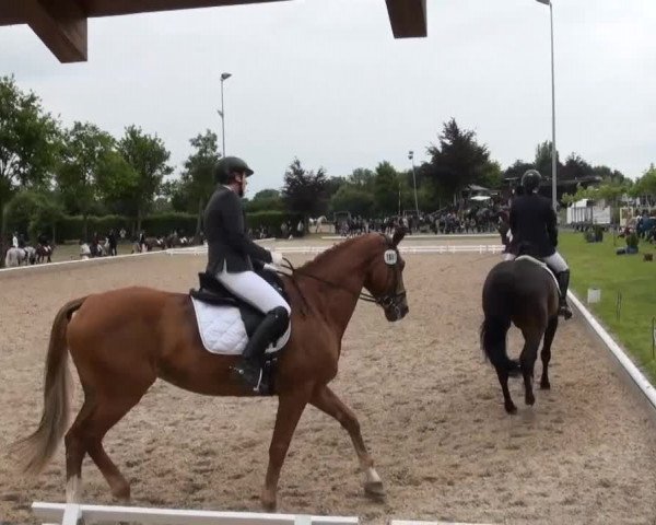 Video of Winni Pooh M, Wiona 46, Rubin Star 4