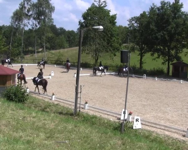 Video of Alinde 10, Batida de Coco 57, Rose 73
