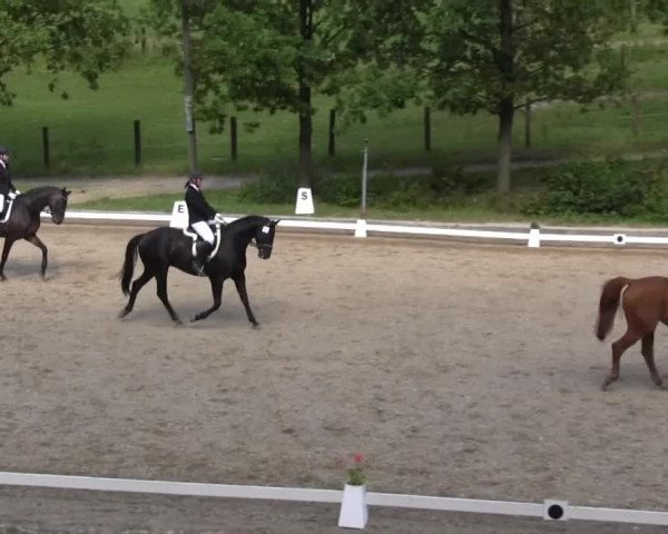 Video von Shadoxx, San Marino W
