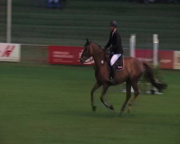 Sommerturnier Legelshurst 2014, Prüfung 14, Manschaftsspringprüfung Kl. M*