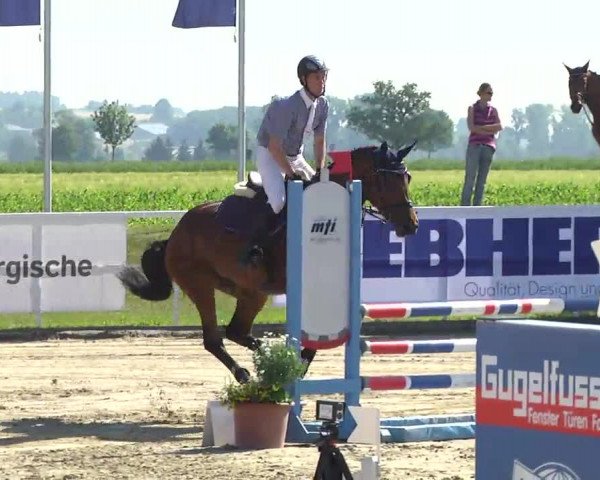 Großes Langenauer Reitturnier; Prüfung 18 - Springpferdeprüfung Kl.A**