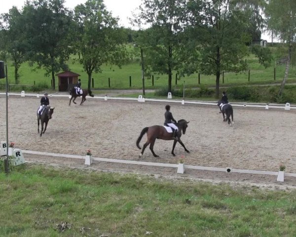 Video von Don Lauriello der Nürnberger, For ever Young 3, Donja 221