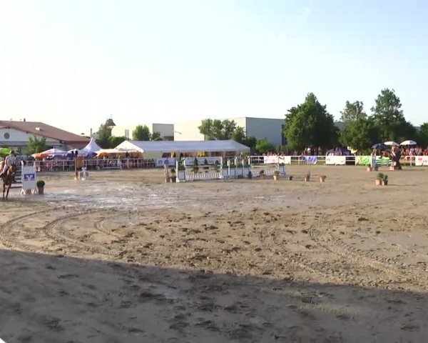 Video von Castor Bs