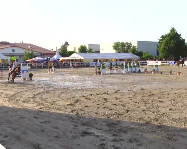 Video of BMC Sensation