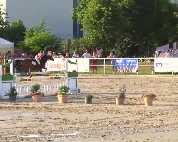 Video von Castor Bs