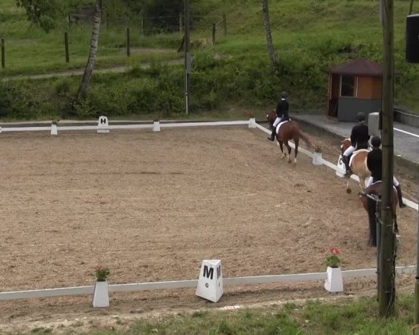 Video von Why Lucky Luke, Willem 57