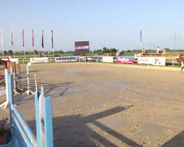 Großes Langenauer Reitturnier 2014