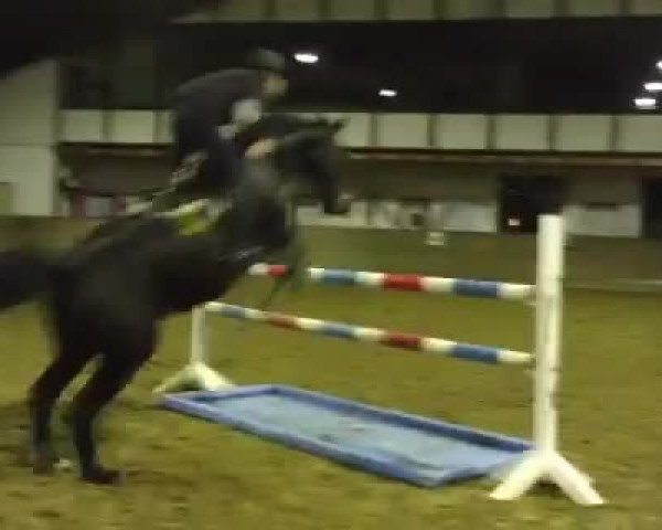 Video of Conquest of Paradise D