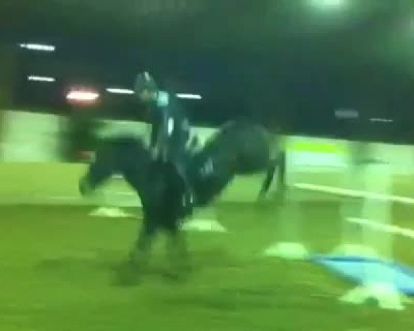 Video of Conquest of Paradise D