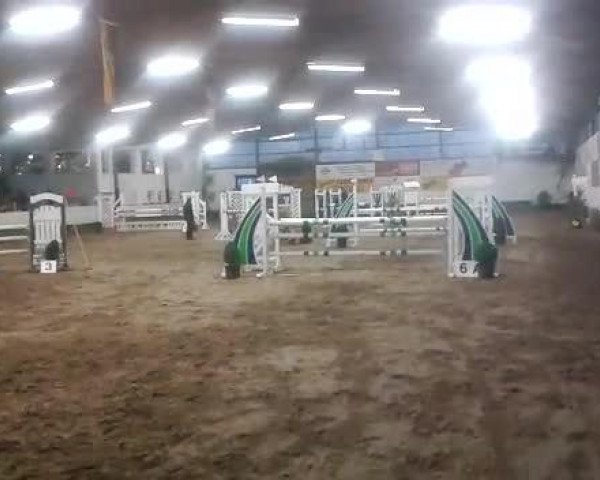 Video of Filius Fiano