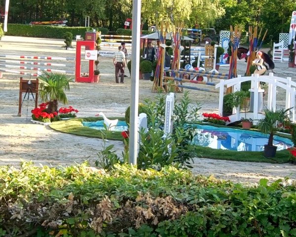 Video of Pikolino