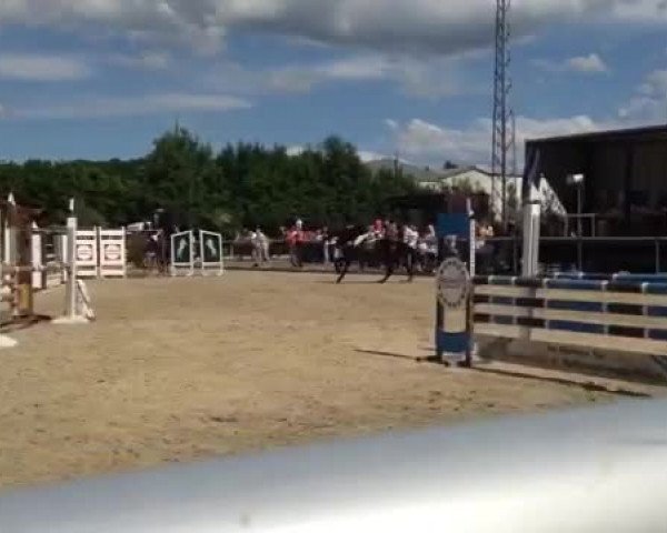 Video of Charisma 141
