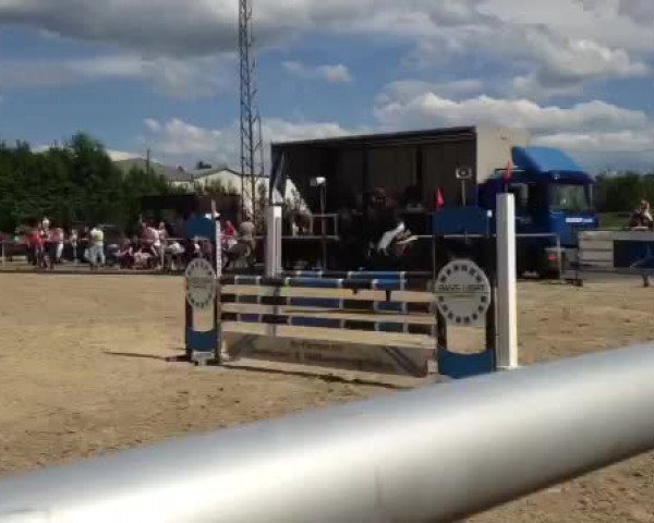 Video of Charisma 141