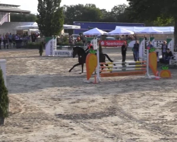 Video von All Time High 3, Countdown 55