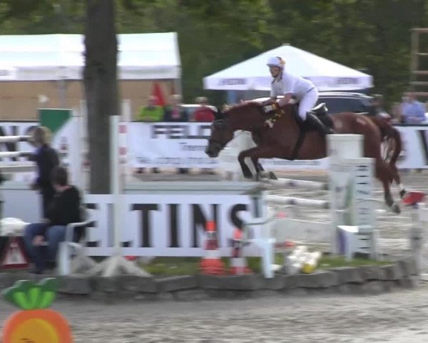 Video of Tiffany 336, Quint du Lys
