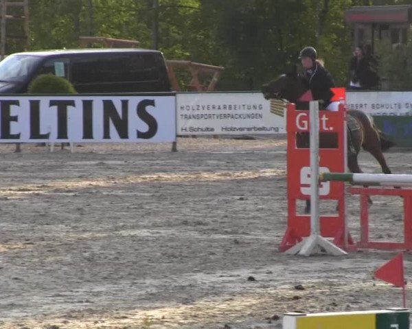 Video of Schiwago 146, Coralie 25