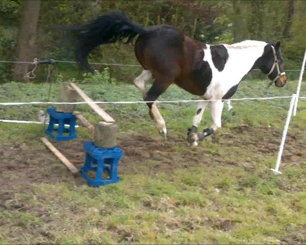 Video of Pauline