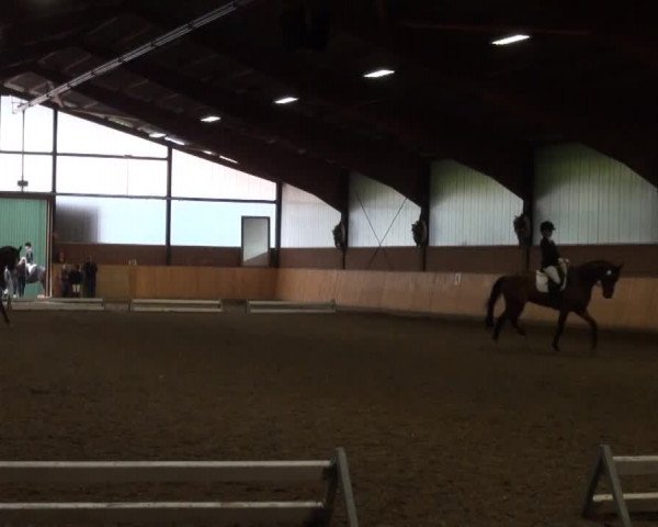Video of Top Secret 28, Robin Hood 254, Lumidee 5