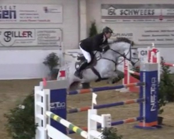 Springpferd Qualitys Girl (Westfale, 2006, von Quality 9)