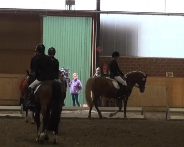 Video von Nagano's Boy Flying Dream, Karlotta, Carlotta