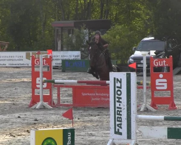 Video of Chouchou 3, Cira M