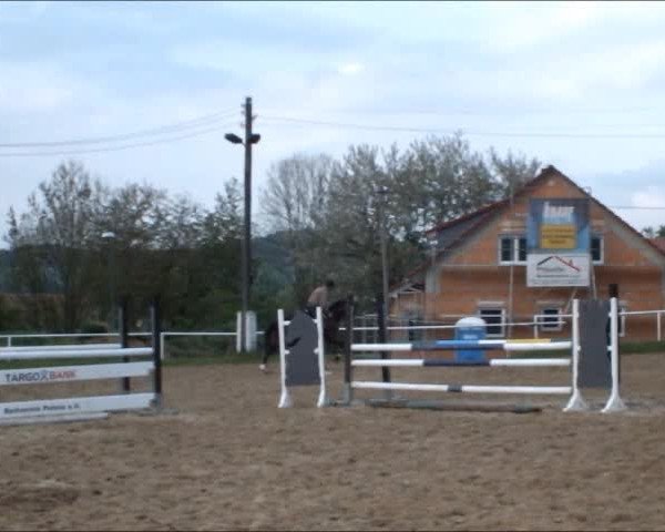 Video of Prince Saxany